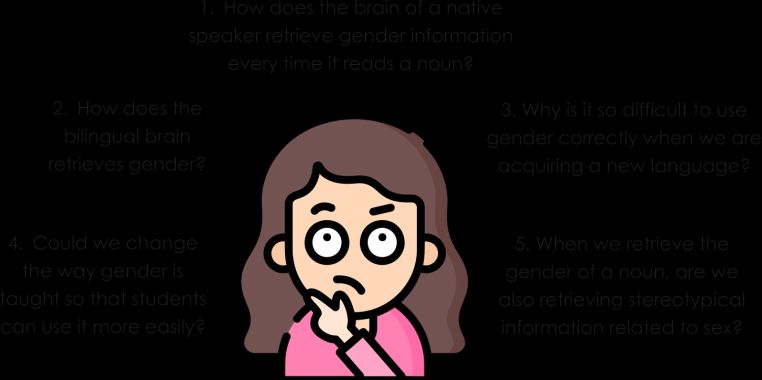 The five research questions of GenPath, from the retrieval of gender by the brain of a native speaker, to that of a bilingual, to that of a learner, and to the possible connection between stereotypical information and a syntactic feature such as gender